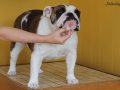 IMG_0078-scaled