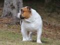 IMG_3515