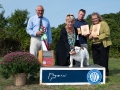 a-photo-win-cape-cod94116121-THP_0386
