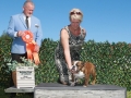 thumbnail_2413c_4896a-1
