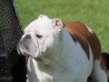 IMG_2408