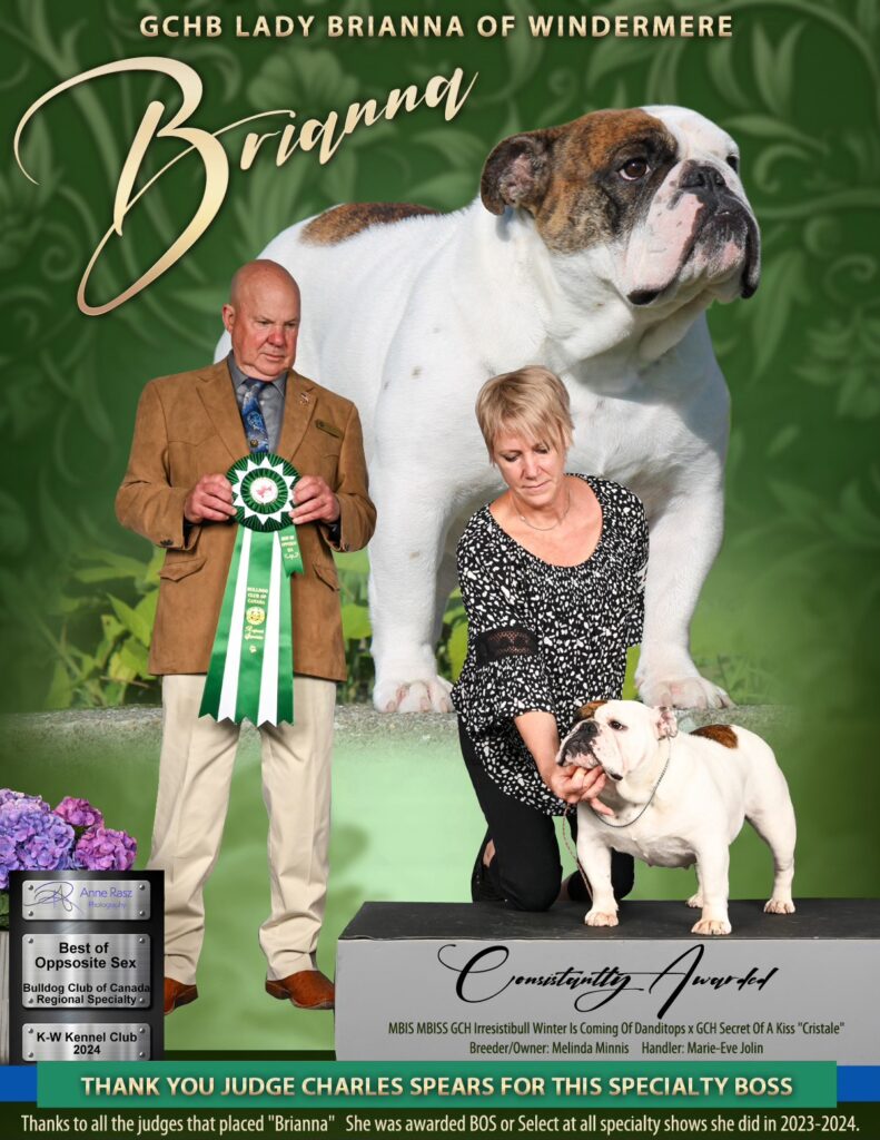 GCH Lady Brianna Of Windermere